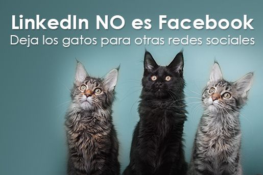 linkedin no es facebook