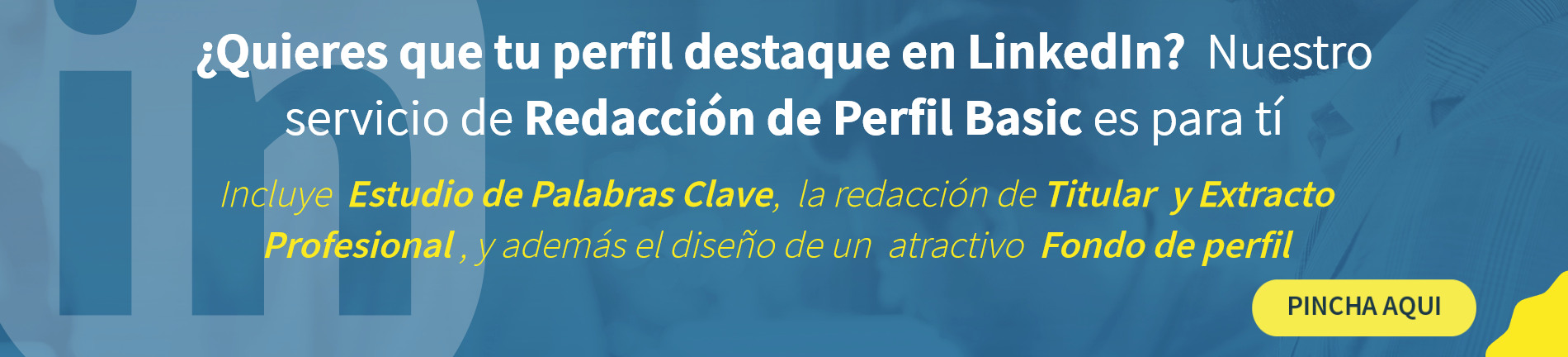 ebook titular profesional