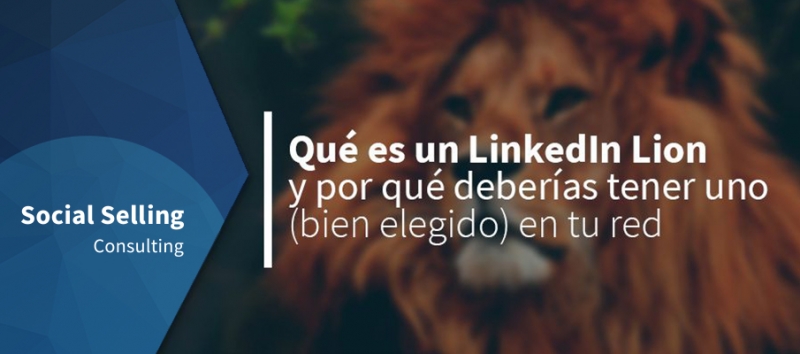 Qué es un LinkedIn Lion y por qué deberías tener uno en tu red