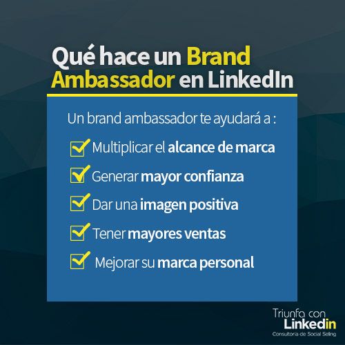 Qué hace un brand ambassador en LinkedIn Infografía